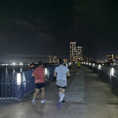ナイトランのお知らせ